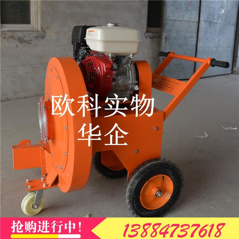 ʽ·洵ѩC·ѿpߙC@ֳmLC