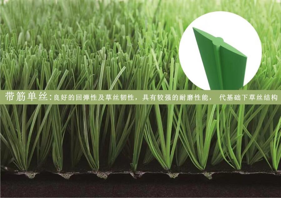 (chng)˹ƺ,쌎(chng)˹ƺ,(ni)(chng)˹ƺ