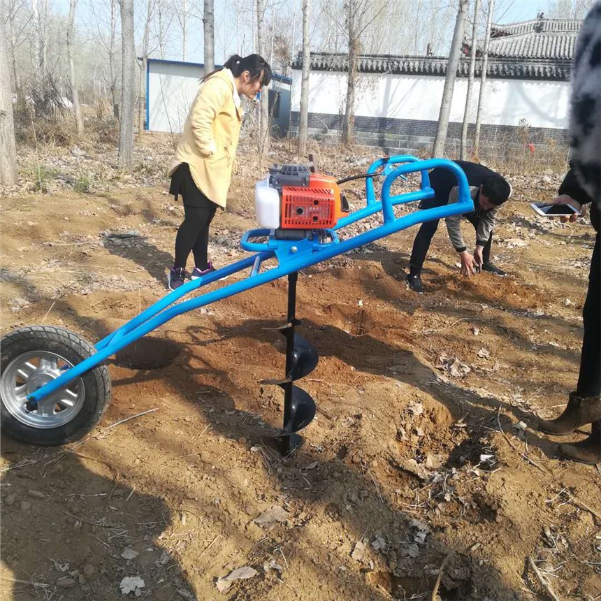 CҒʽ@ۙC dCеڿәCƷ