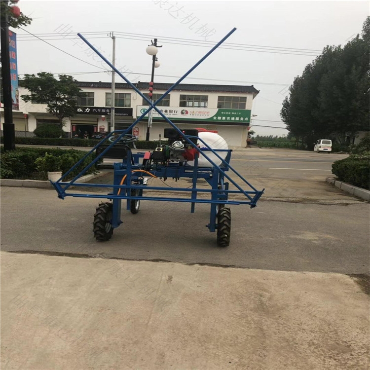  r(nng)ʽˎC ʽۯBUˎC