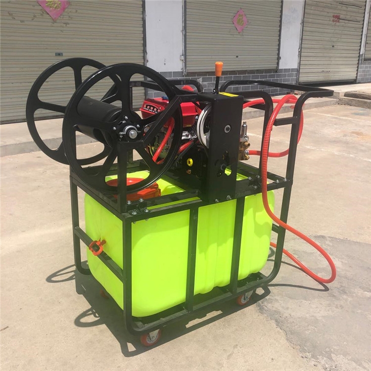 ԄӾ܇F  ߉͇F  h͇F