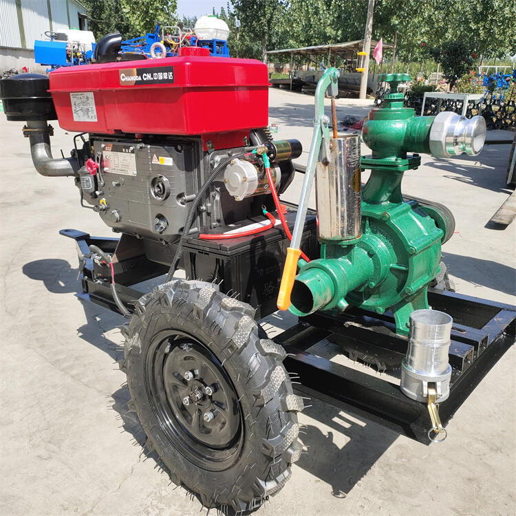 ~ˮróˮùʡڄMt6ˮrIòˮ |