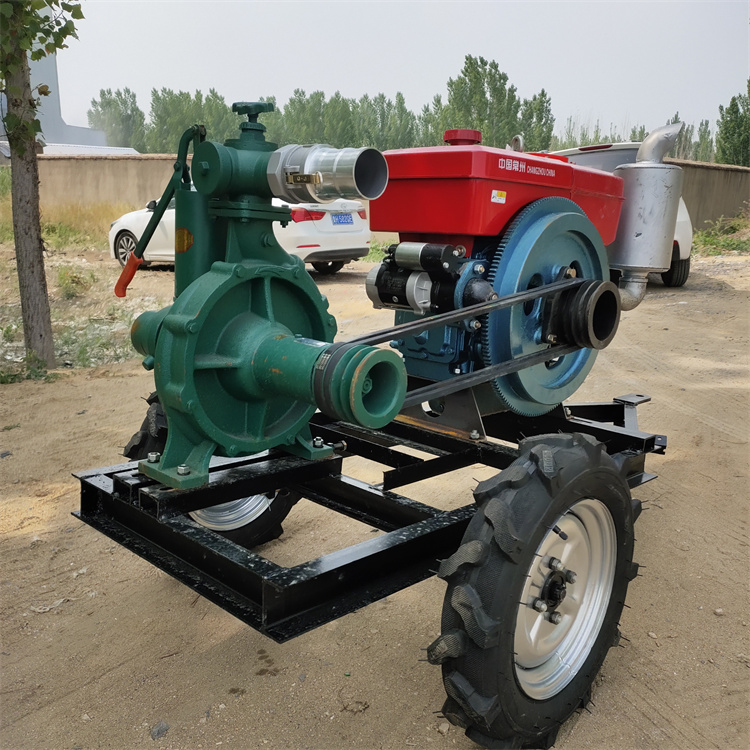 ߓP(yng)̱yʽˮÎpRRɳѴˮˮñyʽˮÏSֱN(xio)