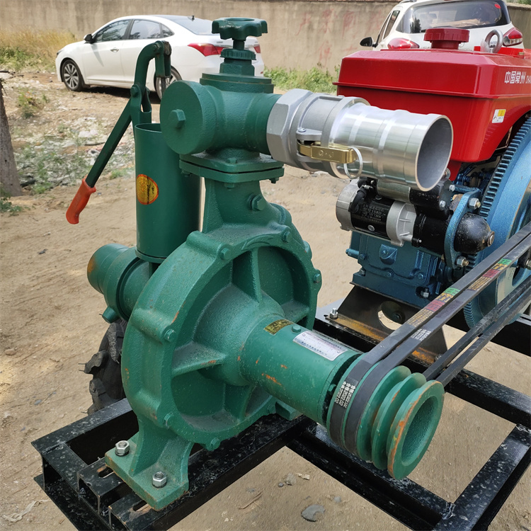 6ˮ|(zh)(yu)rFX{(dio)ɽu݆@ֹȳˮ