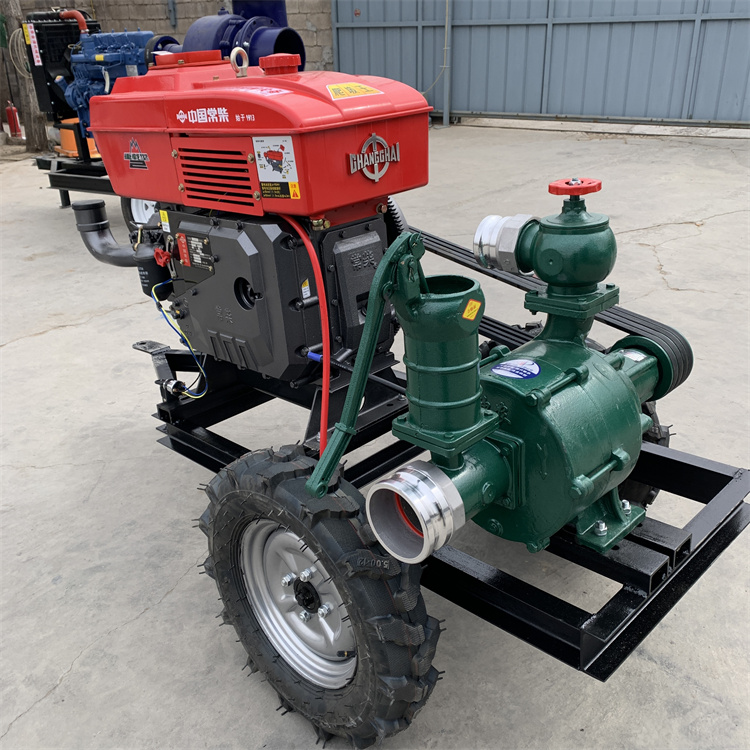 25R2rIȸ߉uʮoŝû ăr