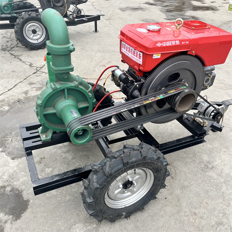 12CˮÏSҴʳˮuÓYϪЈr