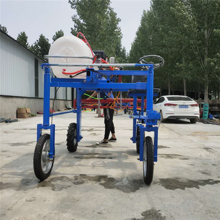 Ϲ߲ˇˎCܴˎCPˎCLΉP|C߉F๦ܴˎC{ʽܗU߶ȇF