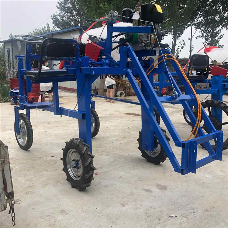 ؓʽݮˎC8׌ˎCС͟FCɽ·߉F^ˎFr͇F