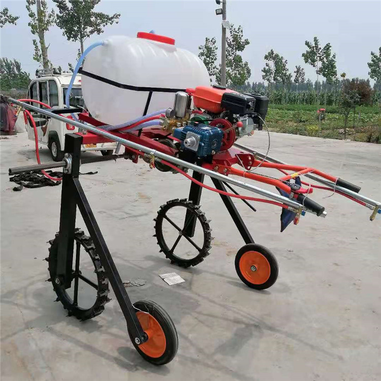 _ԃ|˜ʇFU{ˎCXFֱNS׵شˎC