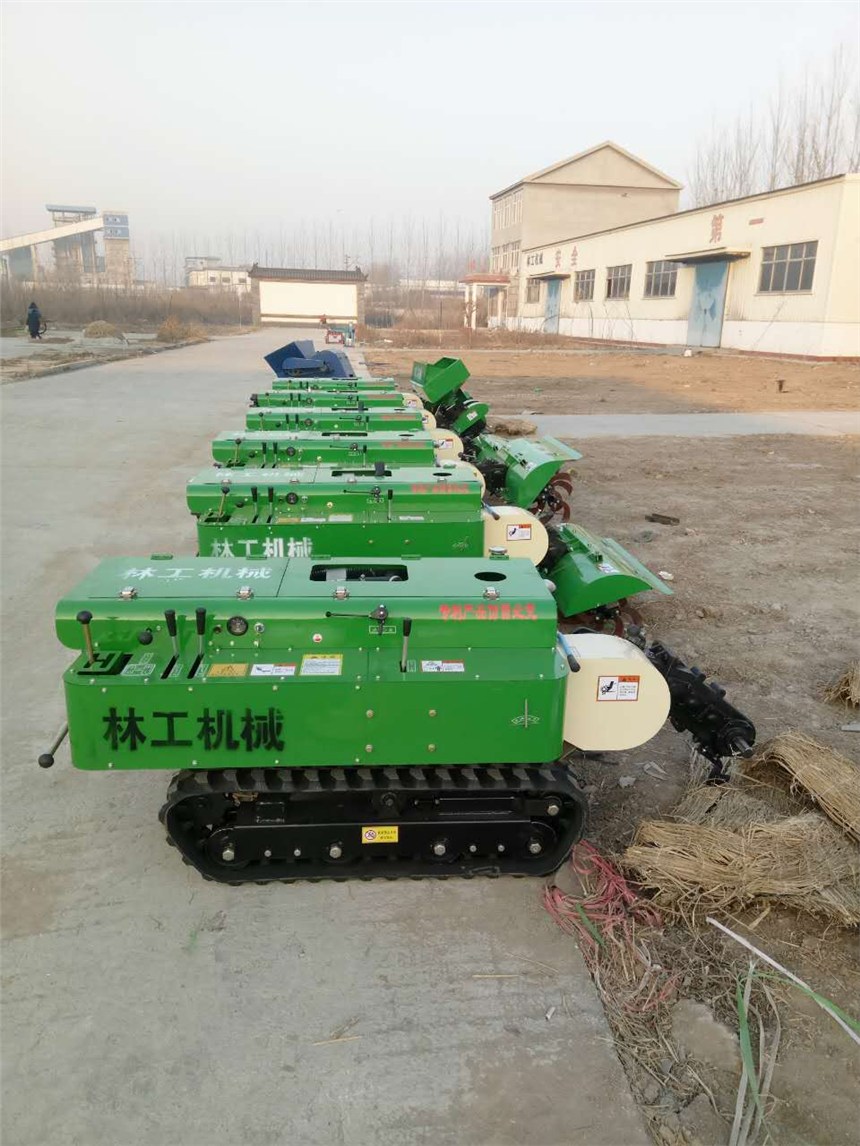 Ďʽ_ϙC(j)SҬF(xin)؛ N๦@C(j) ߹@_ϙC(j)