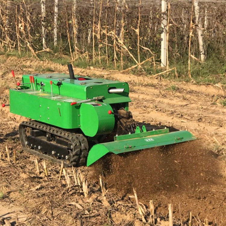 Ͱ@C ԭD_ϙC Ď_ϙCr