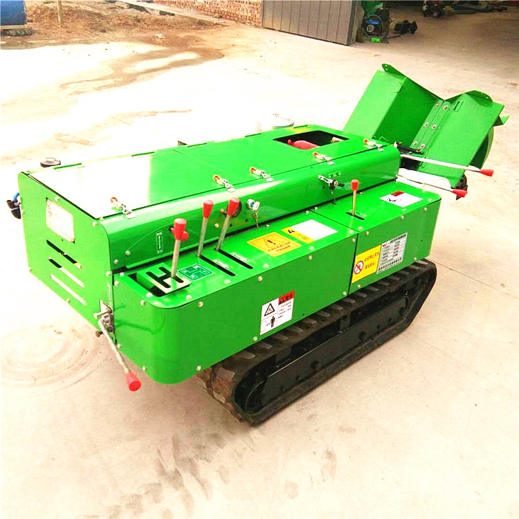 ̈́ĎC Ď_ϙC޵ ʩʙC