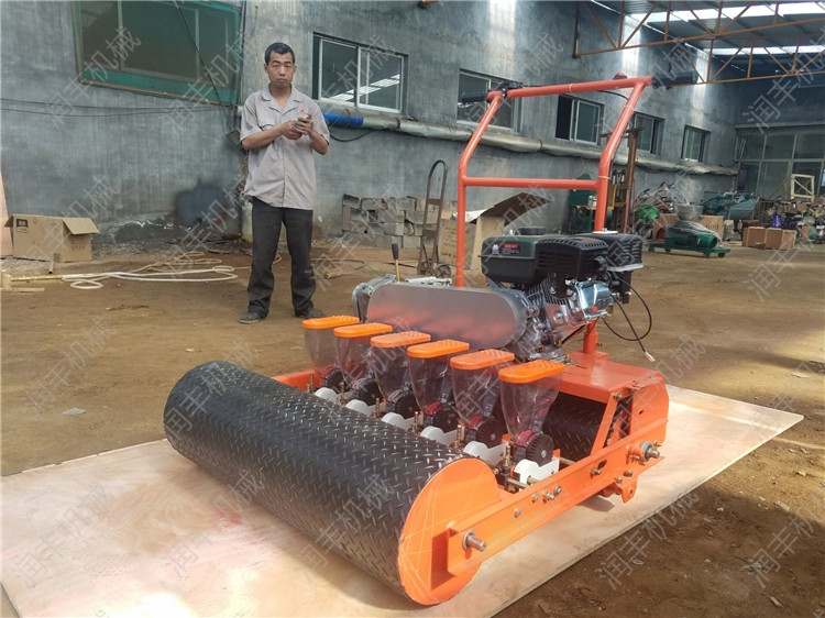 ͬrʩʷN˲NC wСֲNֲC