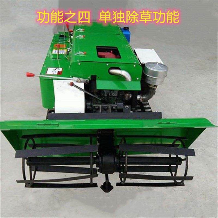 ɽع_ϙC bʽݙC ʡʩʙC