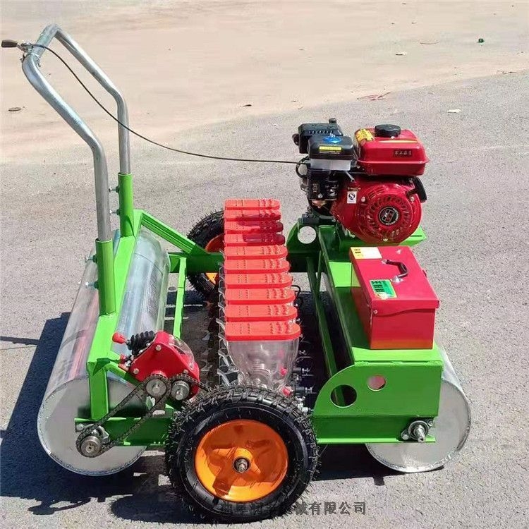 ʽCS Fꖴ[NC пɶĲNC