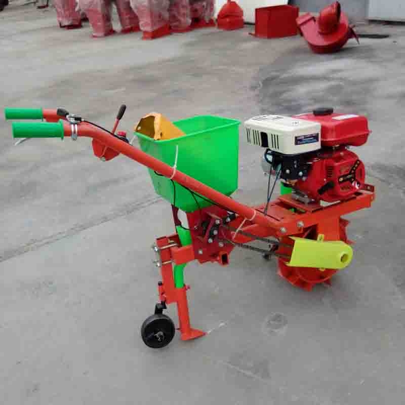 ʩʙC ֱNʽNC ๦ʩʙC