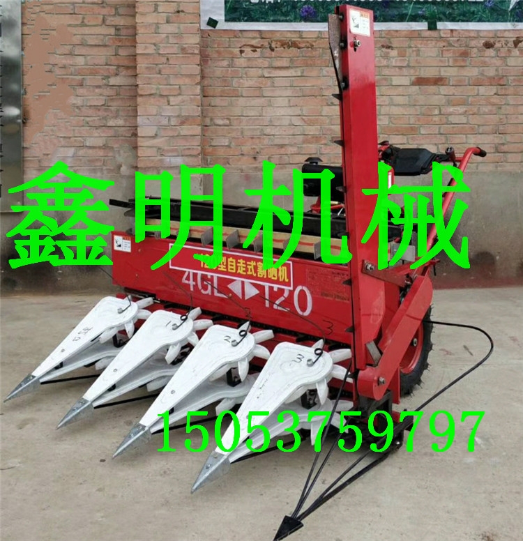 ݆ˎոC ݆θܶCոݸCߴ