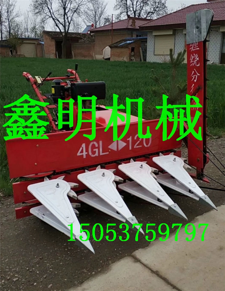 ׸UߗUոC ݆ǰøC ʽոC ݸCr