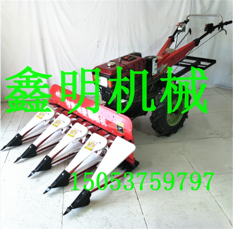 ַCޣոC СͰݸCSҬF؛