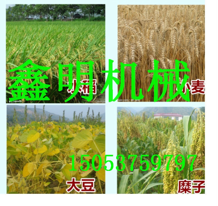 ׸UߗUոC ݆ǰøC ʽոC ݸCr