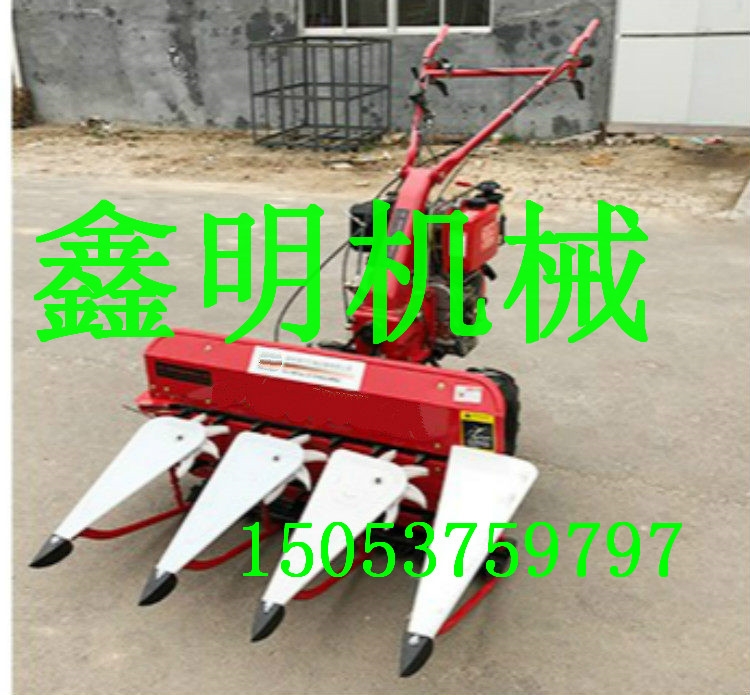 ݆CնոC rոC Сp@Cr