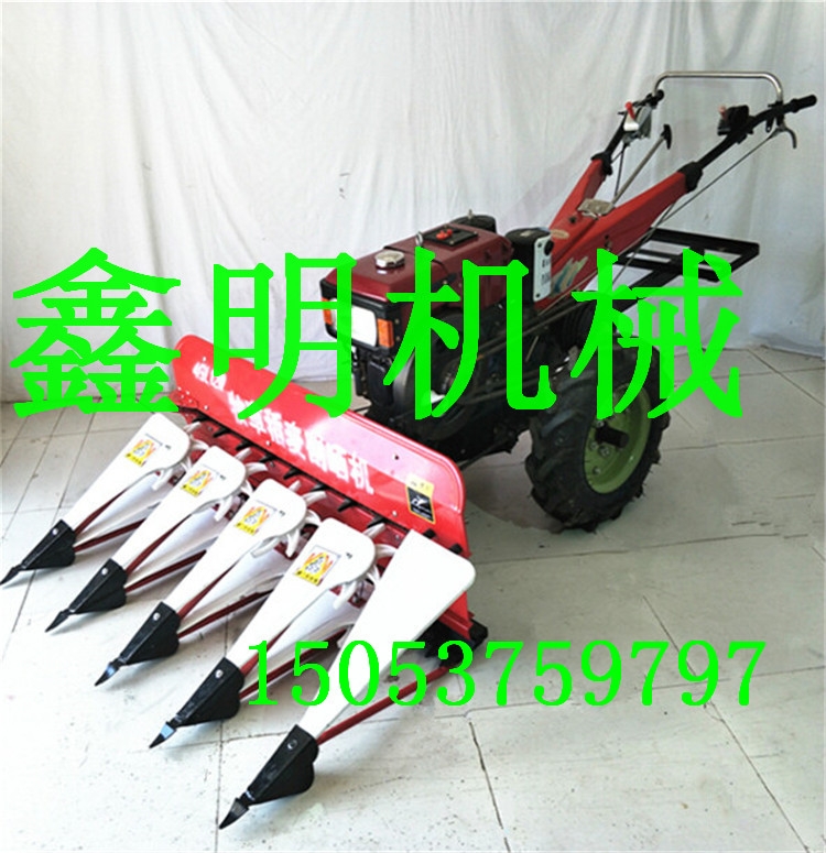 C(j)ޣոC(j) СͰݸC(j)SҬF(xin)؛