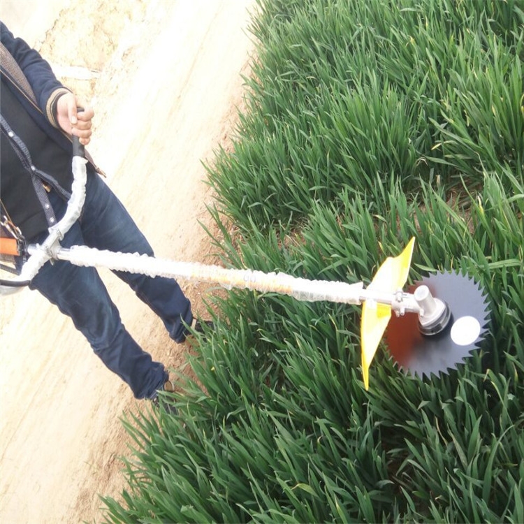 ͸ݙC(j) ֳָݙC(j) ݙC(j)S