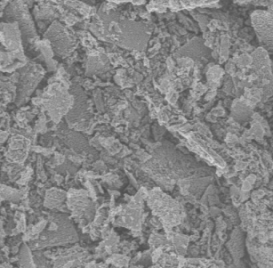 ߼~ĩ 99.9%~(yng)ИI(y)