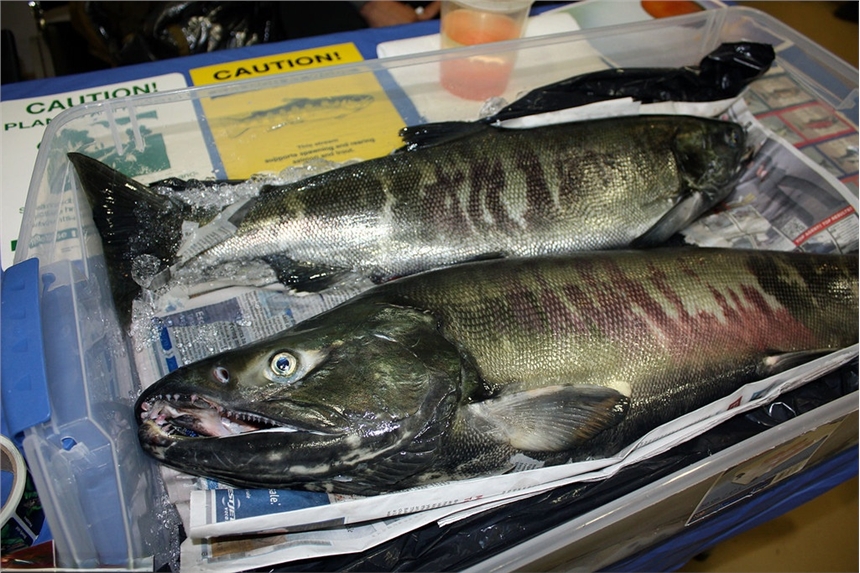 hR~lԒR~lr죬KｭR~r