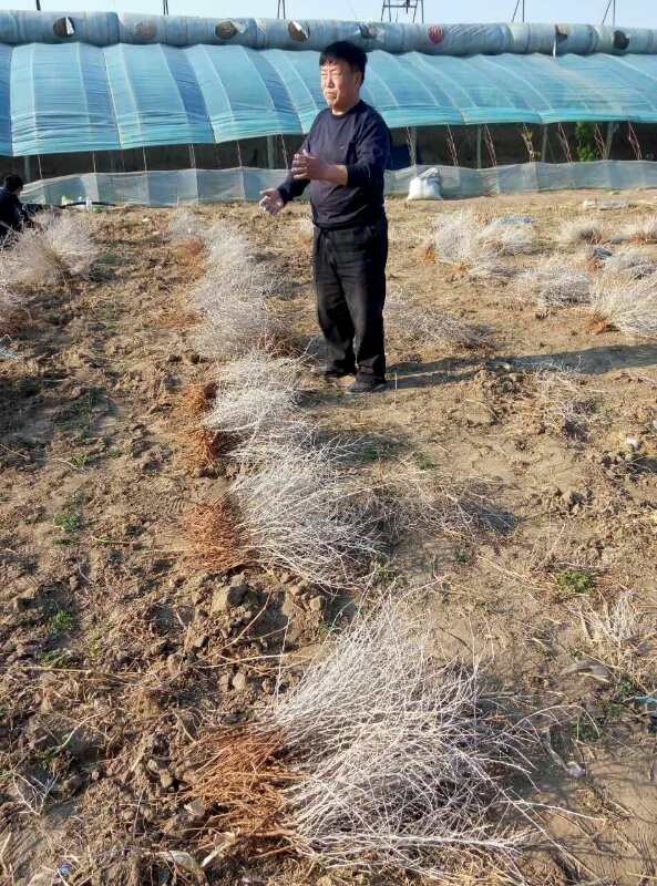 2״̹l(f)״̹N繩(yng)̣״̹NNֲ