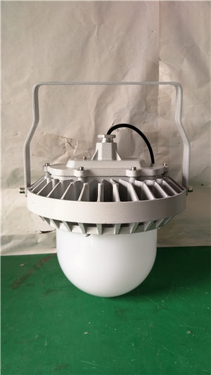 LEDƽ_(ti)SOCK-PT01_SOCK-PT01 2025Ѹ£/ԃ