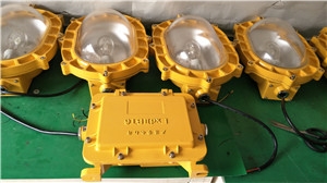 ZL8900 ZL8900(ni)(qing)