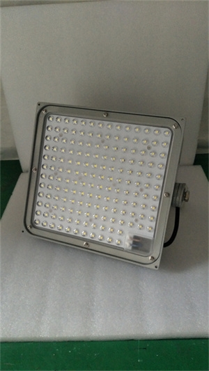 ɽSWF953LEDO_2024Ѹ£/飩