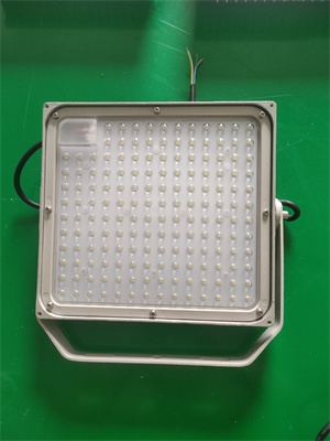 ɽ|SOCK-TGD001ѣLEDO_2024Ѹ£/ӑB