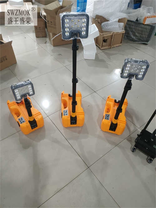 ຣFS5-DyʽLED2024Ѹ£/飩