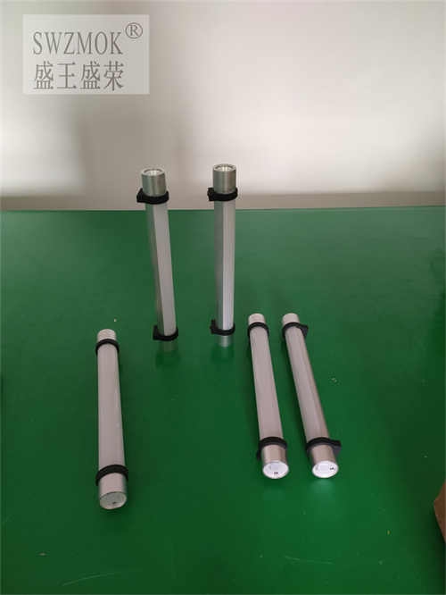 ӱBSG7300z޹2022Ѹ£/飩