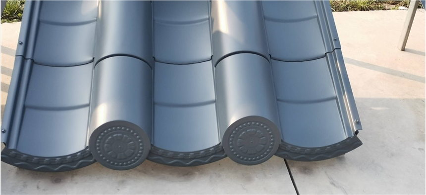 ݷ¹ŽߏSҷXߵĘ(bio)(zhn)be