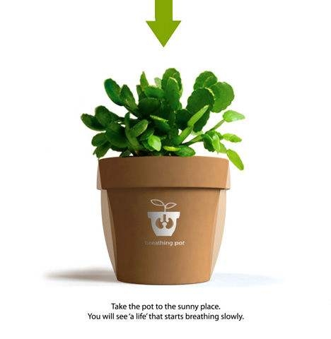 ӡˢCӡC մɻรzӡC ϻӡ֙CaS