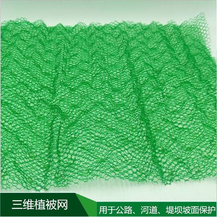 山東三維植被網(wǎng)廠家直銷 三維網(wǎng)EM3國(guó)標(biāo)EM2EM4 護(hù)坡三維網(wǎng)植草網(wǎng) 山東三維植被網(wǎng)廠家直銷 三維網(wǎng)EM3國(guó)標(biāo)EM2EM4 護(hù)坡三維網(wǎng)植草網(wǎng)