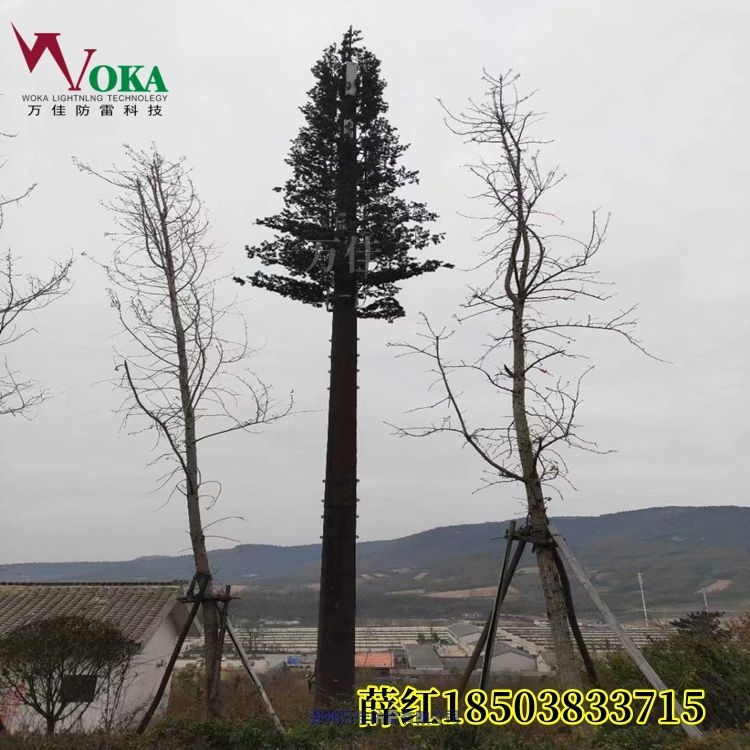 三柱圓鋼避雷塔GFL2-1 GFL2-3鋼管避雷塔25米四角避雷塔三柱圓鋼避雷塔 三柱圓鋼避雷塔GFL2-1 GFL2-3鋼管避雷塔25米四角避雷塔三柱圓鋼避雷塔