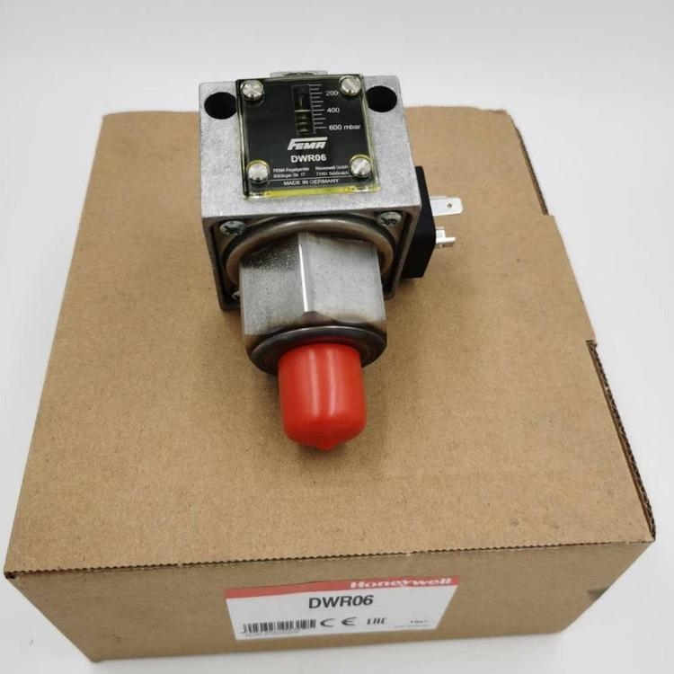 FEMA_(ki)P(gun)DDCM1602Һw͚w