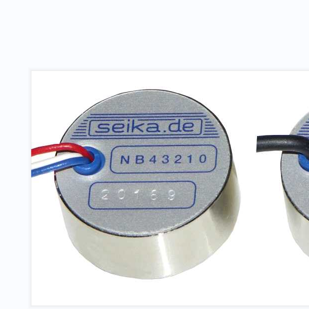 SEIKA MikrosystemtechnikٶȂBD100ͽ`