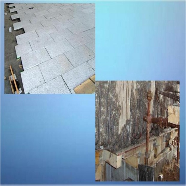 ̫ԭۺh(hun)֬aɰ{_l(f)о