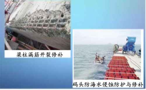 Ծۺh֬aɰ{·Ɠpaɰ{