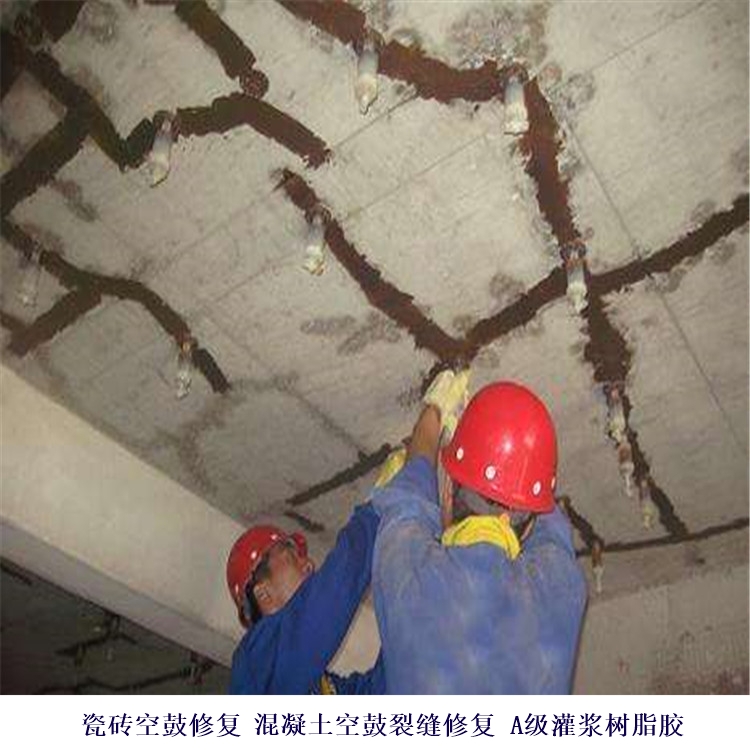 ɽLLӭh֬z_ɽLLӘǰѿpa