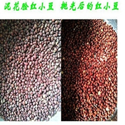 C ๦ܒC ZʳȥùcC