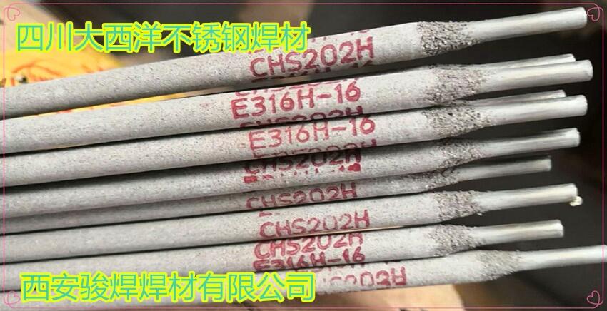 CHS202H E316H-16 P늺lA202Hl