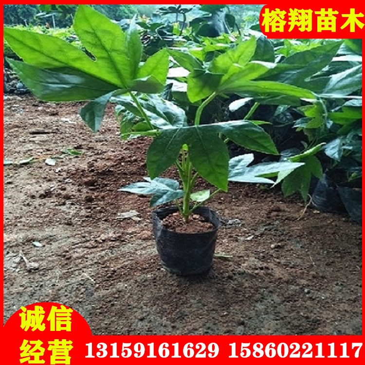 ֱ˽ǽP绨lNͥ@eС^@־Gľ