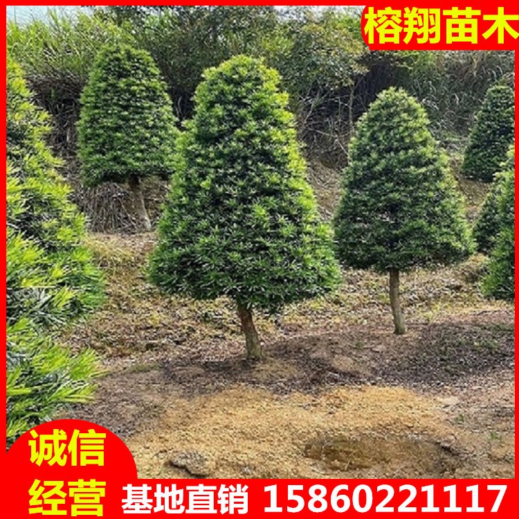 Lڹ_hɄe쾰_hͥ@^GľҎRȫ