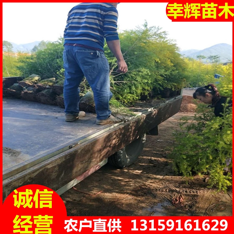 SlǧӽСǧӽֲalrSrԮaNgӭ